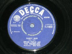 画像1: BRIAN POOLE and THE TREMELOES - CANDY MAN / 1963 UK ORIGINAL 7"Single