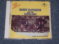 画像1: BARRY DeVORZON and THE TAMERLANES - HITS AND RARITIES / 1993CANADA BRANDE NEW CD out-of-print now 