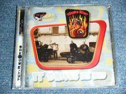 画像1: SNAKE-BITE - IT DRIVES ME WILD / 2000's? SWITZERLAND  Press Brand New CD  