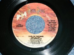 画像1: LED ZEPPELIN - FOOL IN THE RAIN ( MINT-/MINT-)  / 1979 US ORIGINAL Used 7" Single