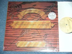 画像1: ROBERT HUNTER of GRATEFUL DEAD  -  PROMONTORY  / 1982 US ORIGINAL Used LP 