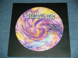 画像1: GRATEFUL DEAD - THE DEAD LIVE IN CONCERT 1971 / 1999 EUROPE  ORIGINAL Brand New PICTURE DISC LP