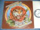 ROBERT HUNTER With GERRY GARCIA of GRATEFUL DEAD -  TIGER ROSE / 1975 US ORIGINAL Used LP 