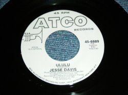 画像1: JESSE ( ED ) DAVIS - ULULU  / 1972 US ORIGINAL WHITE LABEL PROMO Used 7" inch Single