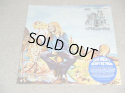 画像1: BLUE CHEER - OUTSIDEINSIDE / 2010 US REISSUE Brand New SEALED LP 