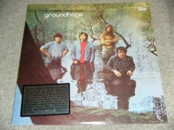 画像1: GROUNDHOGS -  SCRATCHING THE SURFACE / 2009 US REISSUE Brand New SEALED LP 