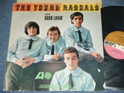 画像1: THE YOUNG RASCALS -THE YOUNG RASCALS ( Ex+/Ex++ ) / 1966 US ORIGINAL 'PLUM(PURPLE) & BROWN 1st Press LABEL )   MONO Used   LP 