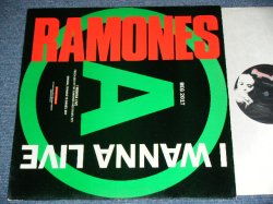 画像1: RAMONES  - I WANNA LIVE ( Ex++/MINT- ) / 1987 UK ENGLAND ORIGINAL Used 12" 