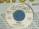 THE BOYS NEXT DOOR - MANDY / 1966 US ORIGINAL White Label PROMO Used 7"Single
