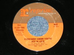 画像1: The ELECTRIC PRUNES - EVERYBODY KNOWS YOU'RE NOT IN LOVE  / 1967 US AMERICA  ORIGINAL Used  7"SINGLE