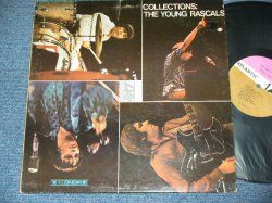 画像1: YOUNG RASCALS - COLLECTION  ( Ex+/Ex+++ ) / 1966 US AMERICA ORIGINAL PURPLE & BROWN Label MONO Used LP 