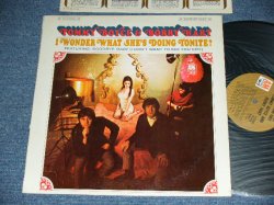 画像1: TOMMY BOYCE & BOBBY HART ( BOYCE & HART ) -  I WONDER WHAT SHE'S DOING TONITE? ( on Guitar GERRY McGEE of The VENTURES+JOE OSBORNE & More : Ex++/MINT-  / 1968 US ORIGINAL  STEREO Used LP 