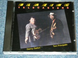 画像1: DANNY GATTON TOM PRINCIPATO - BLAZING TELECASTERS / 1990 US ORIGINAL Brand New CD