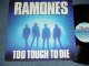 RAMONES  - TOO TOUCH TO DIE ( Ex++/Ex+++ ) / 1984  WEST-GERMANY GERMAN ORIGINAL Used LP 
