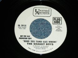 画像1: THE SHAGGY BOYS - BEHIND THESE STAINED GLASS WINDOW ( MINT-/MINT- )/ 1960's US AMERICA ORIGINAL White Label PROMO Used 7"45 