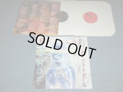 画像1: RED HOT CHILI PEPPERS - BY THE WAY   / 2002 US ORIGINAL Used  2-LP 