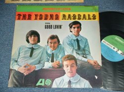 画像1: YOUNG RASCALS -THE YOUNG RASCALS ( Ex/Ex )/ 1966 US ORIGINAL "GREEN & BLUE Label" STEREO Used  LP 