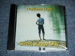 画像1: NORTHERN LIGHT - SWEET SUNNY DAY( Sound Like The BEACH BOYS : BEACH BOYS Follower  / 2001 US AMERICA ORIGINAL release from INDIES  Brand New SEALED CD