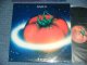 BANCO - ...DI TERRA   / 1978 ITALY ITALIA  ORIGINAL Used LP