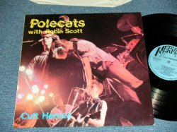画像1: POLECATS - CULT HEROES ( BLUE Label 1st Press : Ex+/MINT- ) / 1981  UK ENGLAND  Used LP 