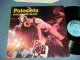 POLECATS - CULT HEROES ( BLUE Label 1st Press : Ex+/MINT- ) / 1981  UK ENGLAND  Used LP 