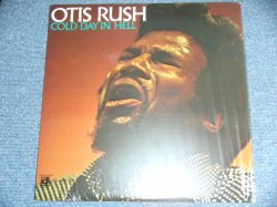 画像1: OTIS RUSH - COLD DAY IN HELL / US Reissue Sealed LP Out-Of-Print  