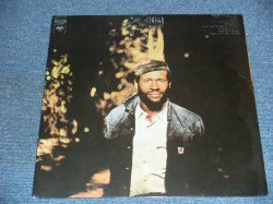 画像1: TAJ MAHAL - HAPPY JUST TO BE LIKE I AM / US Reissue Sealed LP 