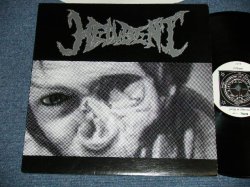 画像1: HELLBENT -  HELLBENT  ( Ex+++/Ex+++ Looks:Ex++ )   /  1995   ORIGINAL Used  LP 