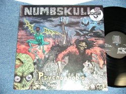 画像1: NUMBSKULLS - PSYCHOPHOBIA ( Ex+++.Ex+++)   / 1990 HOLLAND ORIGINAL Used LP 