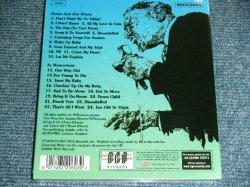 画像1: SONNY BOY WILLIAMSON - DOWN AND OUT BLUES + IN MEMORIUM ( 2 in 1 ) / 2004 UK ENGLAND Brand New SEALED CD 