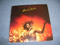 画像1: PETER TOSH - BUSH DOCTOR ( With MICK JAGGER & KEITH RICHARDS on ROLLING STONES ) / 1978 US ORIGINAL LP 