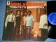 The SOUL STIRRERS - TRIBUTE TO SAM COOKE ( Ex++/MINT- ) / 1984 US AMERICA Used LP  