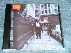 画像1: BIG JOHN WILLIAMS - THE 1968 LONDON SESSIONS : HAND ME DOWN MY OLD WALKING STICK  /  1992  UK ENGLAND   Used CD  