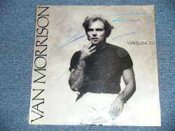 画像1: VAN MORRISON - WAVELENGTH  / 1978 US AMERICA ORIGINAL "Brand New SEALED" LP