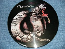 画像1: CRAWLER - CRAWLER  ( Limited PICTURE DISC : VG/Ex+++)  / 1978 US AMERICA ORIGINAL LIMITED Used LP