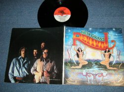 画像1: NEW GRASS REVIVAL - WHEN THE STORM IS OVER  (Ex+++/Ex+++ Looks: Ex+) / 1977 US AMERICA ORIGINAL Used LP 