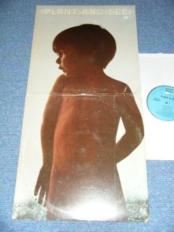 画像1: PLANET AND SEE -  PLANET AND SEE  (Ex+/Ex+++) / 1966 US AMERICA ORIGINAL "STEREO" Used  LP 