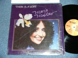 画像1: MARIA MULDAUR -  THERE IS A LOVE  ( MINT-/MINT-)  / 1982  US AMERICA ORIGINAL Used  LP