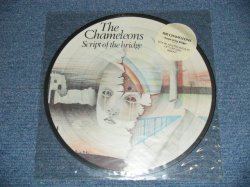 画像1: The CHAMELEONS - SCRIPT OF THE BRIDGE : PICTURE DISC  ( -/MINT-)   / 1985 UK ENGLAND  ORIGINAL B"PICTURE DISC"  Used  LP