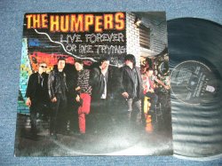画像1: The HUMPERS - LIVE FOREVER OR DIE TRYING (MELO-CORE)  ( Ex+/MINT-) / 1996 US AMERICA ORIGINAL  Used LP 