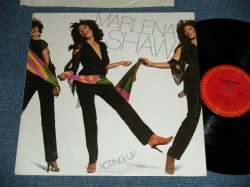 画像1: MARLENA SHAW - ACTING UP ( Ex+++/MINT- Looks:Ex+++) / 1978 US AMERICA ORIGINAL Used LP 