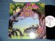 SWAMP ZOMBIES - CHICKEN VULTURE CROW (Ex+++/MINT-)  / 1988 US AMERICA ORIGINAL Used LP 