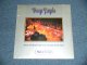 DEEP PURPLE -  MADE IN EUROPE （SEALED)  / 1976 US AMERICA ORIGINAL??  "BRAND NEW SEALED"   LP 