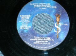 画像1: TURQUOISE - TO KNOW HER(IS TO LOVE HER) Cover Song of TEDDY BEARS of PHIL SPECTOR ( Ex++/Ex+ )     / 1975 US AMERICA  ORIGINAL "PROMO"  Used  7" Single 