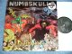 NUMBSKULLS - PSYCHOPHOBIA ( NEW)   / 1990 HOLLAND ORIGINAL "BRAND NEW"  LP 