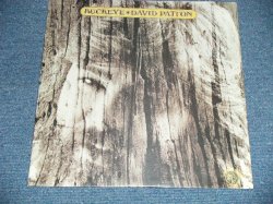 画像1: DAVID PATTON - BUCKEYE  ( SEALED)  / 1972 US AMERICA  ORIGINAL   "BRAND NEW SEALED" LP