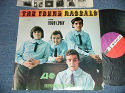 画像1: THE YOUNG RASCALS -THE YOUNG RASCALS (Matrix # A-12359-A / A-12360-C ) ( Ex+/Ex+++ Looks:Ex+ ) / 1966 US ORIGINAL 'RED & PLUM(PURPLE)  LABEL' MONO Used   LP 