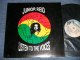 JUNIOR REID - LISTEN TO THE VOICE ( Ex+++/MINT-) / 1994 JAMAICA ORIGINAL Used LP 
