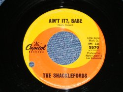 画像1: The SHACKLEFORDS  : AIN'T IT? BABE / THAT OLD FREIGHT TRAIN  ( Ex++/Ex++)   / 1965 US AMERICA ORIGINAL Used  7" Single 