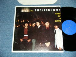 画像1: The BUCKINGHAMS - KIND OF A DRAG (Ex++/Ex Looks:VG+++ )  / 1967 US AMERICA ORIGINAL MONO Used  LP